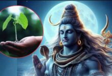 हरियाली अमावस्या कब है? गुरु पुष्य योग समेत बनेंगे 3 शुभ योग, जानें तारीख, मुहूर्त, महत्व
