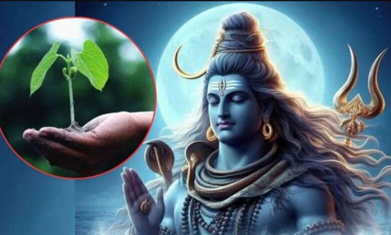 हरियाली अमावस्या कब है? गुरु पुष्य योग समेत बनेंगे 3 शुभ योग, जानें तारीख, मुहूर्त, महत्व