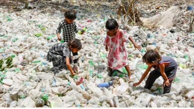 प्लास्टिक से हो रहा प्रदूषण हमारे जीवन लिए बहुत बड़ा खतरा, जानिए कैसे करें बचाव