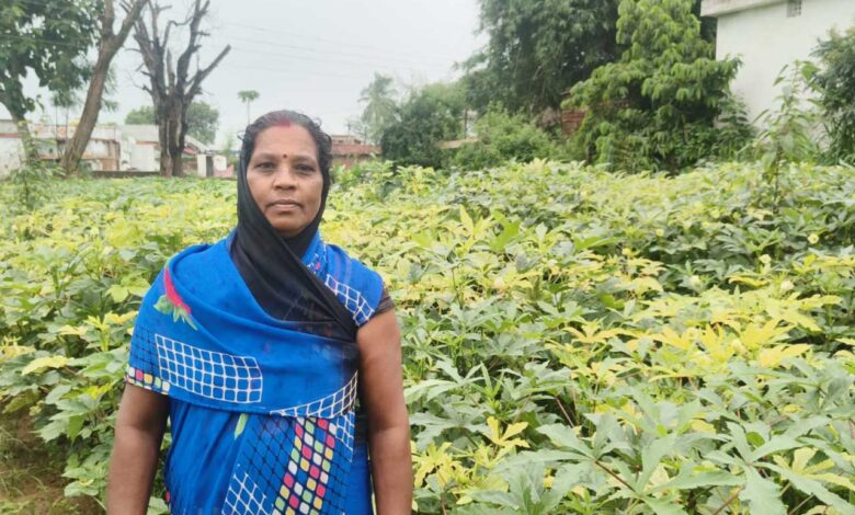 आधुनिक खेती व मेहनत में केतकी बाई को बनाया लखपति दीदी आधुनिक खेती व मेहनत में केतकी बाई को बनाया लखपति दीदी