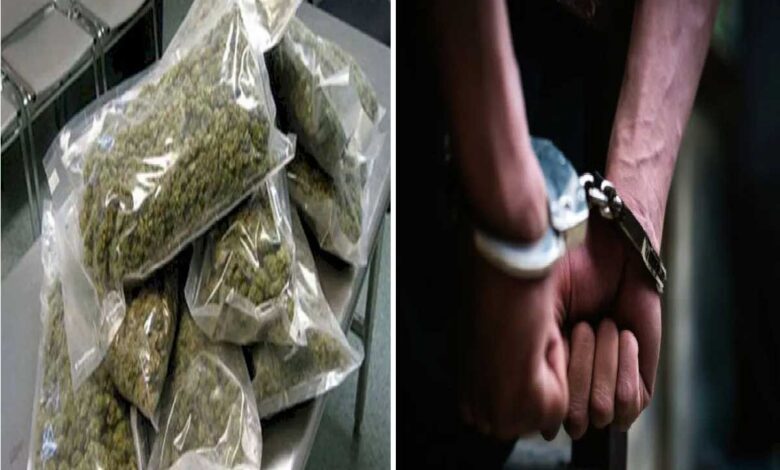 महिला गांजा तस्कर सहित 3 आरोपियों को 5-5 साल की सजा