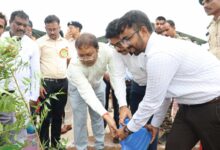 सक्ती जिले में सामूहिक पौधरोपण महाअभियान का हुआ आयोजन