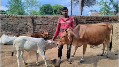 डेयरी उद्यमिता विकास योजना से सुखसागर की जिंदगी में आया बदलाव