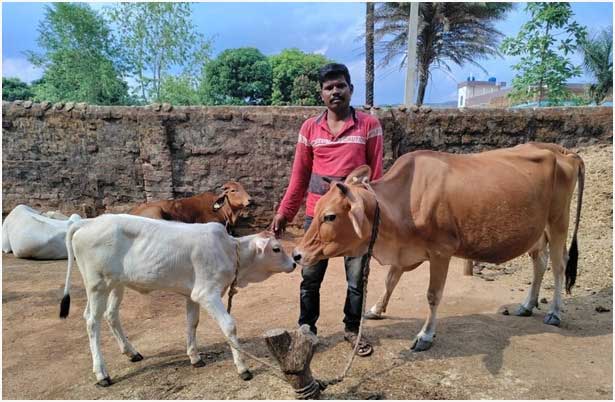 डेयरी उद्यमिता विकास योजना से सुखसागर की जिंदगी में आया बदलाव