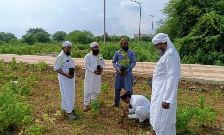 यौमे आजादी पर दावते इस्लामी GNRF ने किया पौधारोपण यौमे आजादी पर दावते इस्लामी GNRF ने किया पौधारोपण