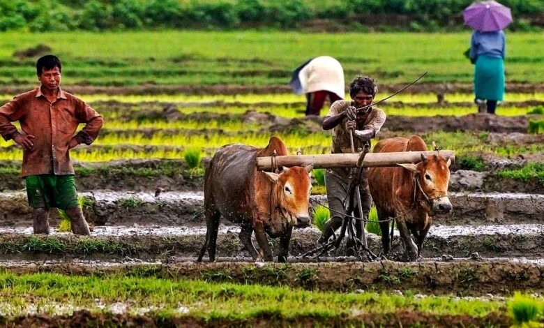 दिवाली पर किसानों को डबल गिफ्ट, बैंक खाते में ₹2-2 हजार भेजेगी सरकार; जल्द होगा तारीखों का ऐलान दिवाली पर किसानों को डबल गिफ्ट, बैंक खाते में ₹2-2 हजार भेजेगी सरकार; जल्द होगा तारीखों का ऐलान
