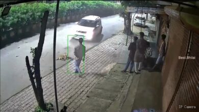 भिलाई में क्रूरता की हद : कोहका बजरंग चौक में कार चालक ने जानबूझकर सड़क किनारे बैठे कुत्ते पर चढ़ाई कार, घटना सीसीटीवी में कैद