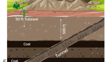 धरती की गहराई में ऊर्जा का नया अध्याय, सतह पर हरियाली  रायगढ़ में प्रस्तावित पुरुंगा भूमिगत कोयला खदान 2.25 मिलियन टन वार्षिक उत्पादन क्षमता के साथ बनेगी ऊर्जा आत्मनिर्भर भारत की नई पहचान