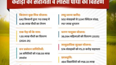 हरियाली से आर्थिक रूप से सशक्त हुए मोहला जिले के ग्रामीण