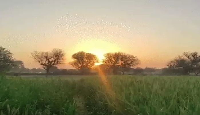 छत्तीसगढ़ में बढ़ी ठंड, उत्तर के जिलों में शीत लहर की आशंका