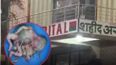 हॉस्पिटल के टॉयलेट में मिला नवजात का शव, क्षेत्र में मचा हड़कंप हॉस्पिटल के टॉयलेट में मिला नवजात का शव, क्षेत्र में मचा हड़कंप