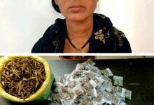 गांजा के साथ महिला आरोपी प्रिया मरकाम गिरफ्तार