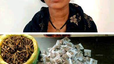 गांजा के साथ महिला आरोपी प्रिया मरकाम गिरफ्तार