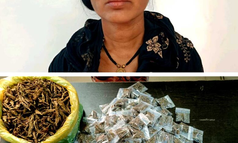 गांजा के साथ महिला आरोपी प्रिया मरकाम गिरफ्तार