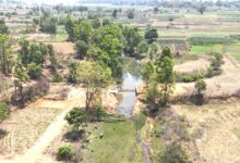 चेक डैम से बदली तस्वीर : जल संरक्षण ने गांवों को बनाया आत्मनिर्भर