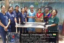 छत्तीसगढ़ के पशु चिकित्सालय में दुर्लभ सिजेरियन ऑपरेशन