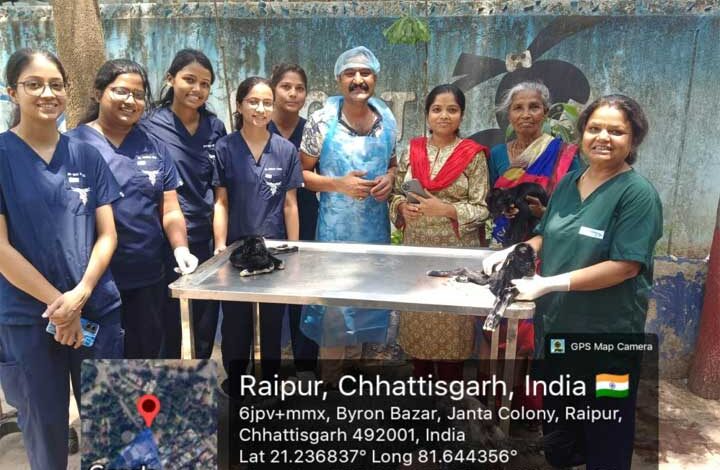 छत्तीसगढ़ के पशु चिकित्सालय में दुर्लभ सिजेरियन ऑपरेशन छत्तीसगढ़ के पशु चिकित्सालय में दुर्लभ सिजेरियन ऑपरेशन