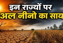 10 राज्यों पर अल नीनो का साया, खरीफ फसलों के लिए जारी किया गया ये अलर्ट
