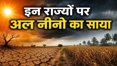 10 राज्यों पर अल नीनो का साया, खरीफ फसलों के लिए जारी किया गया ये अलर्ट