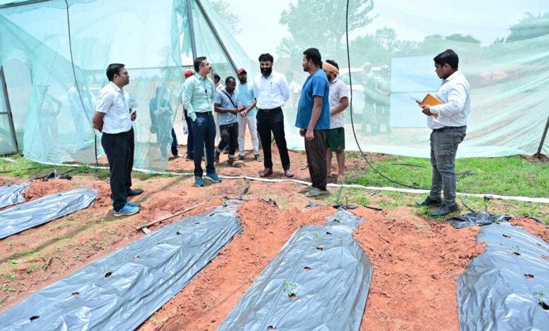 संरक्षित खेती से आर्थिक रूप से सशक्त बने जशपुर के किसान अनारथ साय