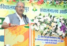 गांवों में अमराई की परंपरा पुनर्जीवित करने की जरूरत: श्री बृजमोहन अग्रवाल