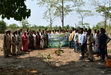 इंद्रावती टाइगर रिजर्व का अनूठा अभियान : ‘एक पेड़ माँ के नाम’ से दिया प्रकृति संरक्षण का संदेश
