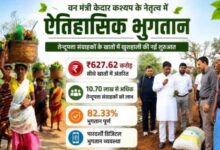 छत्तीसगढ़: तेन्दूपत्ता संग्राहकों के खातों में अब तक 627.62 करोड़ अंतरित, प्रक्रिया ने पकड़ी रफ्तार