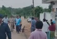 जमानत पर बाहर आते ही हुआ सबसे बड़ा कांड, रोंगटे खड़े कर देगी यह खबर