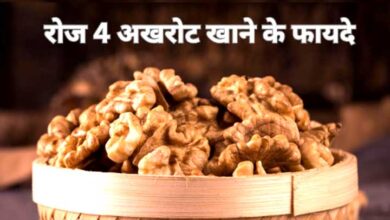 14 दिनों तक रोज 4 अखरोट खाने से क्या होगा? जानें क्या है अखरोट खाने का सबसे अच्छा समय