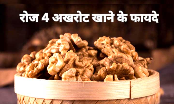 14 दिनों तक रोज 4 अखरोट खाने से क्या होगा? जानें क्या है अखरोट खाने का सबसे अच्छा समय 14 दिनों तक रोज 4 अखरोट खाने से क्या होगा? जानें क्या है अखरोट खाने का सबसे अच्छा समय