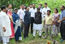 धमतरी जिले में 200 एकड़ से बढ़ाकर 600 एकड़ तक औषधीय खेती के विस्तार का लक्ष्य