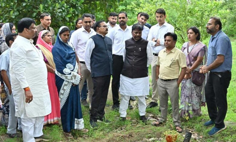 धमतरी जिले में 200 एकड़ से बढ़ाकर 600 एकड़ तक औषधीय खेती के विस्तार का लक्ष्य धमतरी जिले में 200 एकड़ से बढ़ाकर 600 एकड़ तक औषधीय खेती के विस्तार का लक्ष्य