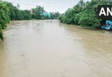 ओडिशा में बाढ़ का कहर, 6 लाख से ज्यादा लोग प्रभावित; 1.65 लाख लोगों को सुरक्षित पहुंचाया गया ओडिशा में बाढ़ का कहर, 6 लाख से ज्यादा लोग प्रभावित; 1.65 लाख लोगों को सुरक्षित पहुंचाया गया