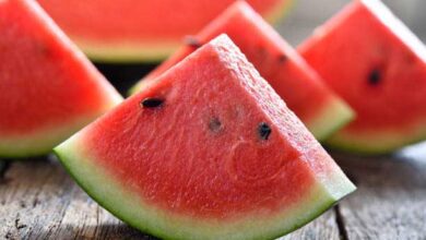 किडनी के लिए फायदेमंद या नुकसानदायक है तरबूज? एक्सपर्ट से जानें