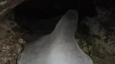 गर्मी के कारण पिघल रहा है हिमलिंग, तेजी से घट रहा है बाबा बर्फानी