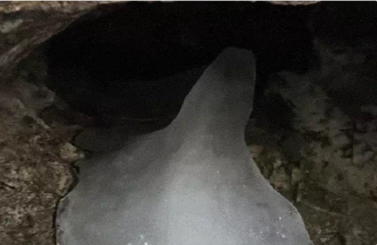 गर्मी के कारण पिघल रहा है हिमलिंग, तेजी से घट रहा है बाबा बर्फानी