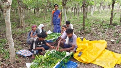 मानसून में भी पर्यटन का आनंद: बारनावापारा अभयारण्य 31 अक्टूबर तक बंद