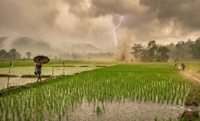  पर लगा ब्रेक, छत्तीसगढ़ में अगले 2 दिन बारिश के आसार नहीं, जानिए कब होगी वापसी