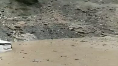 मानसून बना आफत: बिजली गिरने और बाढ़ में 8 की मौत, कई राज्यों में भारी बारिश का अलर्ट
