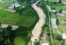 चेक डैम से बीरपारा के किसानों को मिला सिंचाई का सहारा, 20 हेक्टेयर भूमि होगी सिंचित