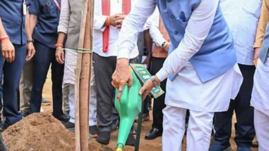 मुख्यमंत्री श्री विष्णुदेव साय ने अपनी माँ के नाम पर लगाया पीपल का पौधा, वन महोत्सव-2026 का हुआ शुभारंभ
