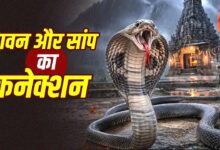 सावन में क्यों बढ़ जाते हैं सांपों के दिखने के मामले? जानिए वैज्ञानिक वजह और नाग पंचमी से जुड़ी मान्यता