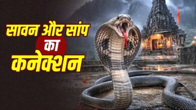 सावन में क्यों बढ़ जाते हैं सांपों के दिखने के मामले? जानिए वैज्ञानिक वजह और नाग पंचमी से जुड़ी मान्यता