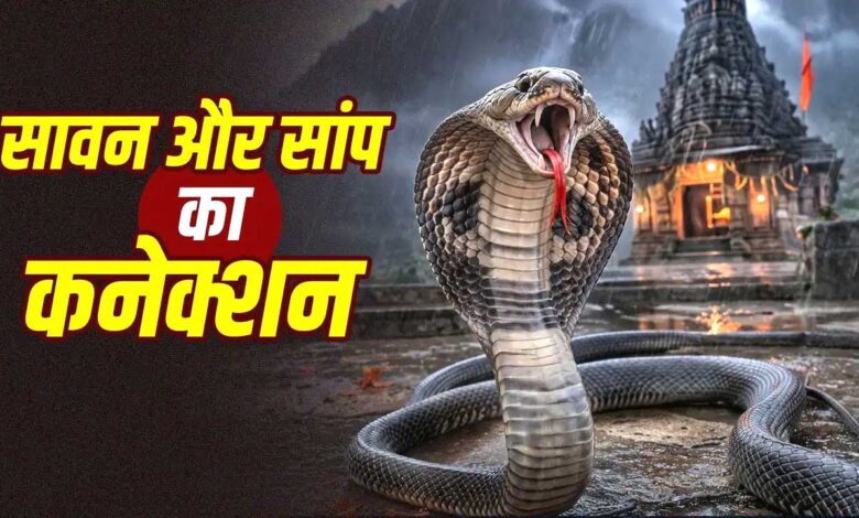 सावन में क्यों बढ़ जाते हैं सांपों के दिखने के मामले? जानिए वैज्ञानिक वजह और नाग पंचमी से जुड़ी मान्यता