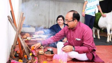 उप मुख्यमंत्री श्री अरुण साव ने प्रदेशवासियों को दी हरेली की बधाई