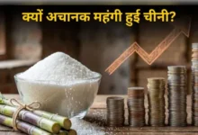 एथेनॉल या और कुछ , जानें  चीनी कीमहंगाई की असली वजह क्या ?