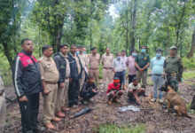 मृत भालू के नाखून काटकर ले जाने वाले दो आरोपी गिरफ्तार