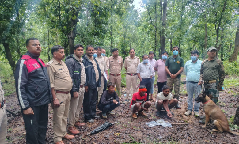 मृत भालू के नाखून काटकर ले जाने वाले दो आरोपी गिरफ्तार