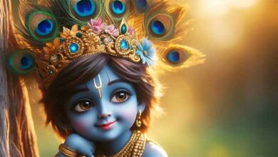 श्रीकृष्ण के मुकुट में क्यों होता है मोरपंख? जानिए 3 पौराणिक मान्यताएं और इसका आध्यात्मिक रहस्य