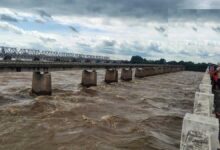 महासमुंद में बारिश से बिगड़े हालात, महानदी उफान पर; तीन दर्जन गांव अलर्ट